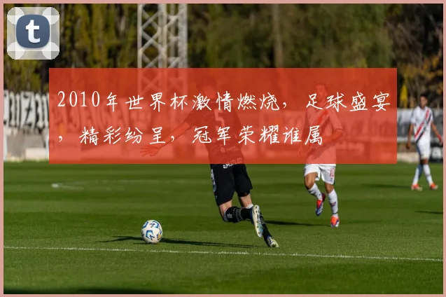 2010年世界杯激情燃烧，足球盛宴，精彩纷呈，冠军荣耀谁属